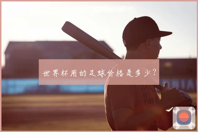 世界杯用的足球价格是多少?