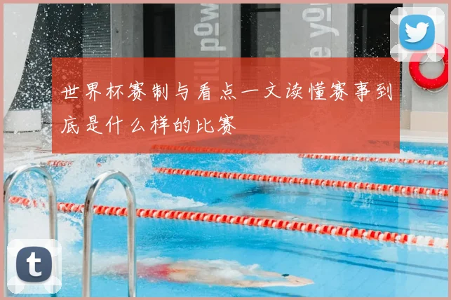 世界杯赛制与看点一文读懂赛事到底是什么样的比赛