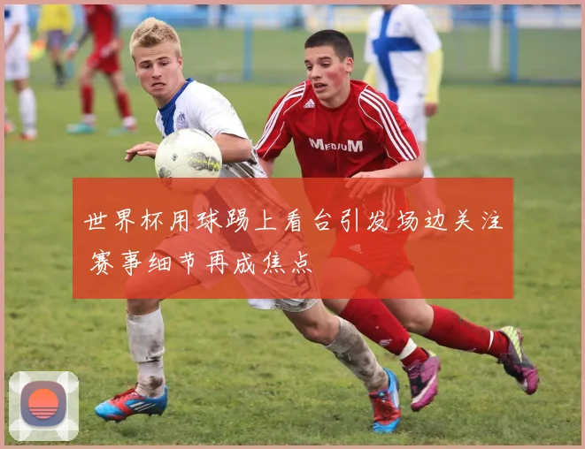 世界杯用球踢上看台引发场边关注 赛事细节再成焦点