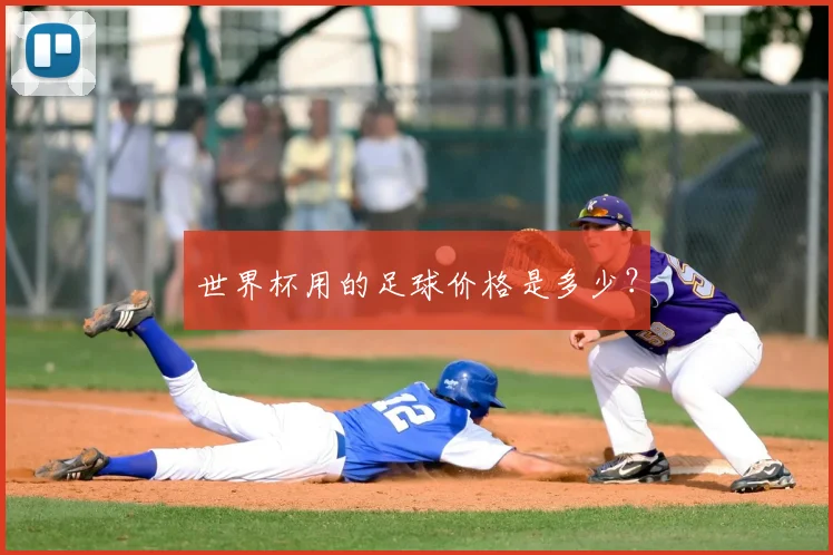 世界杯用的足球价格是多少?