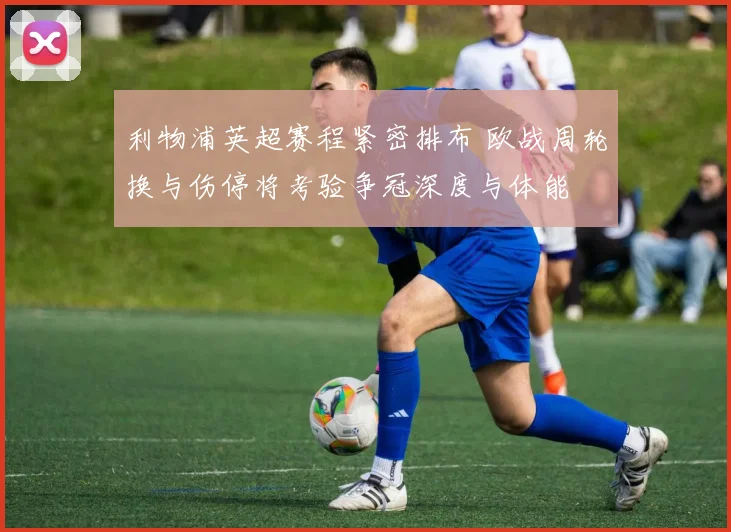 利物浦英超赛程紧密排布 欧战周轮换与伤停将考验争冠深度与体能