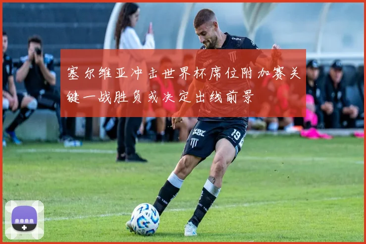 塞尔维亚冲击世界杯席位附加赛关键一战胜负或决定出线前景