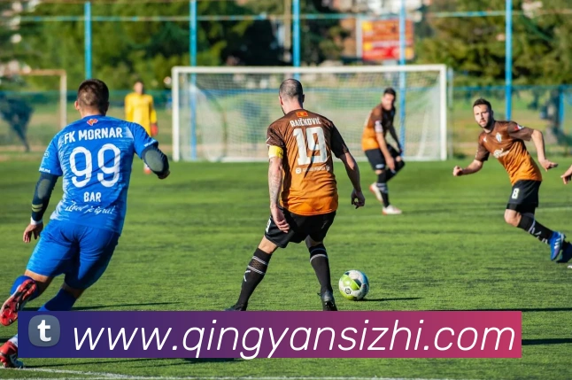 数据防护可视化